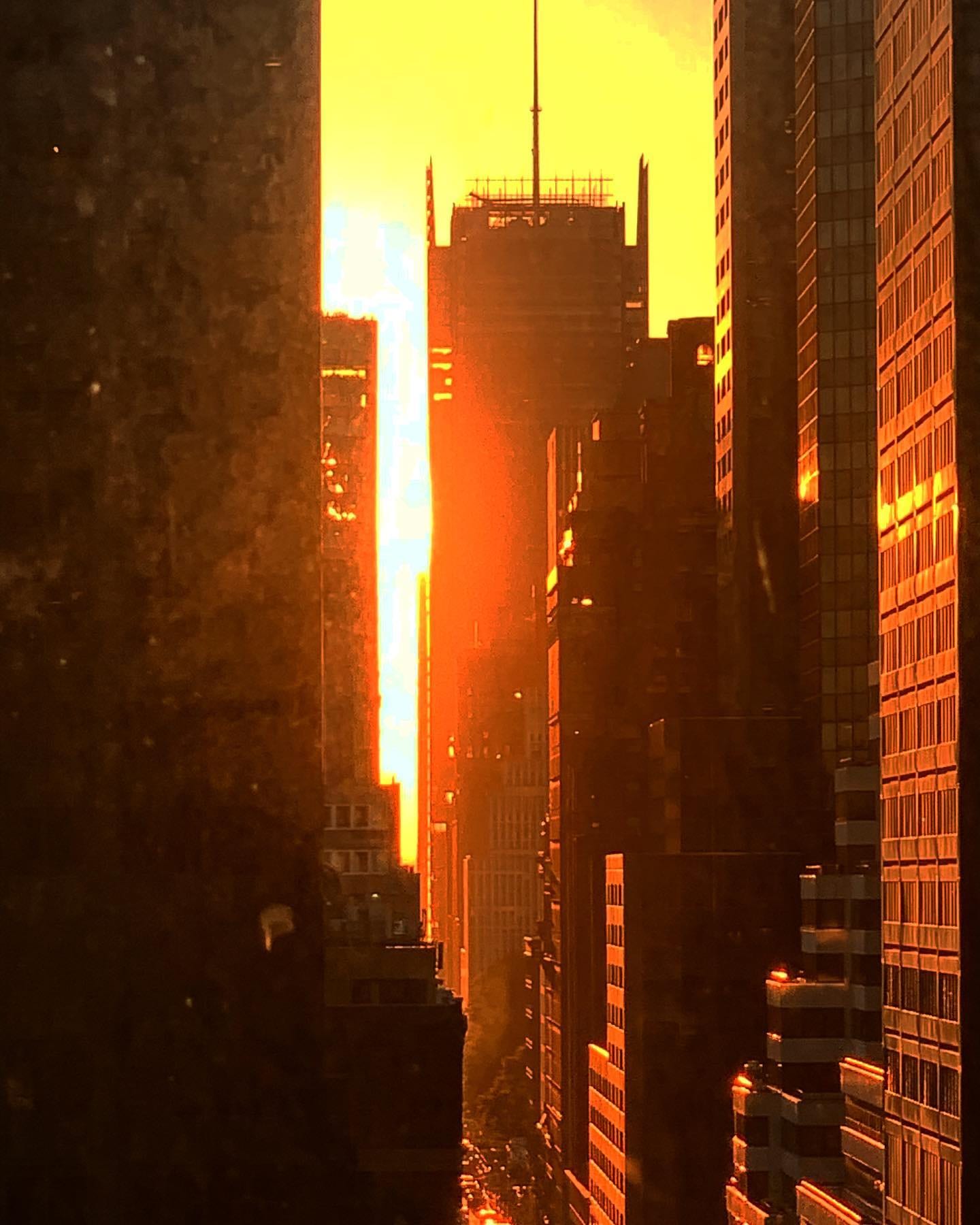 The best views in NYC