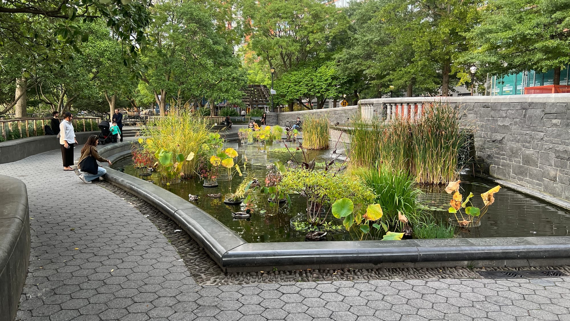 A paved path curving around the lily pond in Rockefeller Park, with people sitting on its edge and trees overhead.