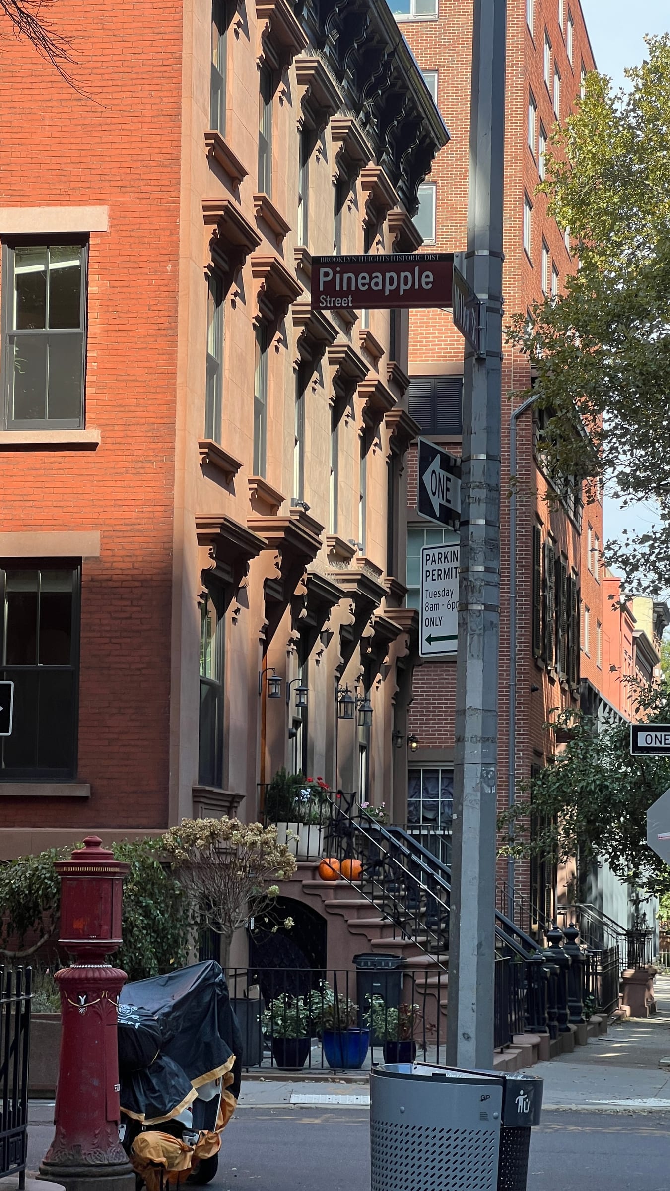 A Brooklyn Heights brownstone on Pineapple Street in fall, with pumpkins on the stoop beneath the street sign.