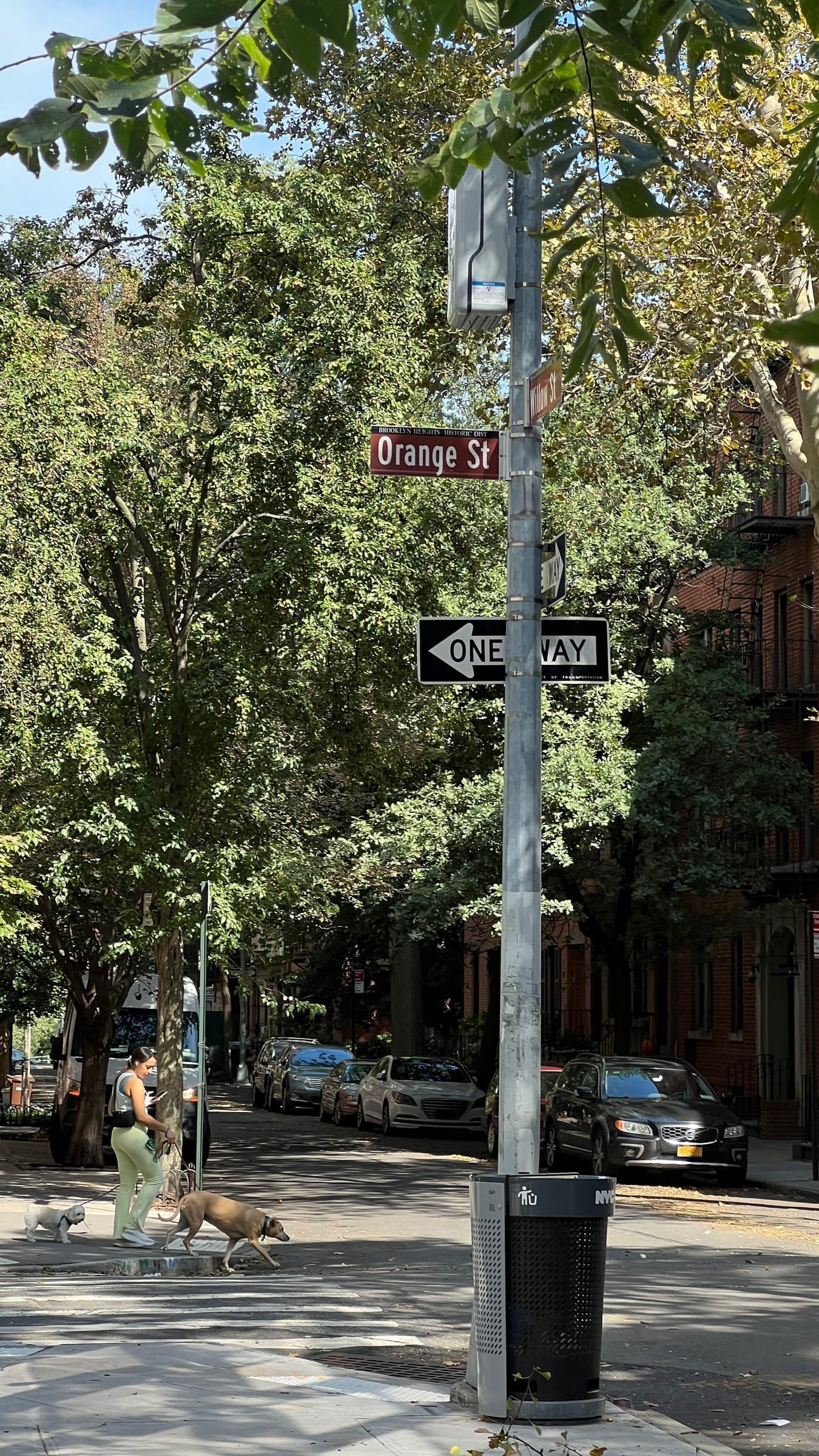 The Orange Street sign on a quiet, tree-lined Brooklyn Heights block, with a woman walking two dogs across the street.